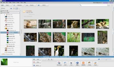 PicasaPreview