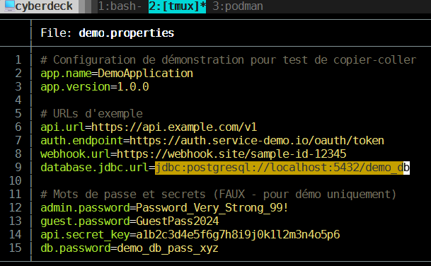 Screenshot du mode copy avec les lignes de texte